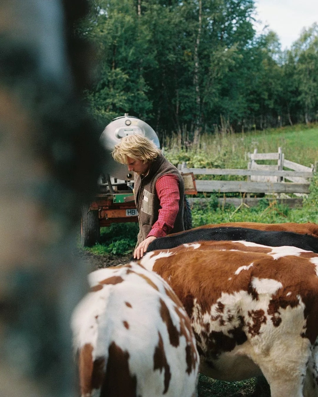 Amundsen Heroes Wool Fleece Vest Mens Vest Beige - modostore.no