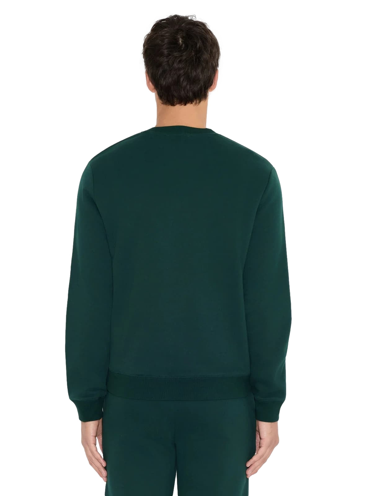 Holzweiler Andrew Crewneck Sweater Genser Flaskegrønn