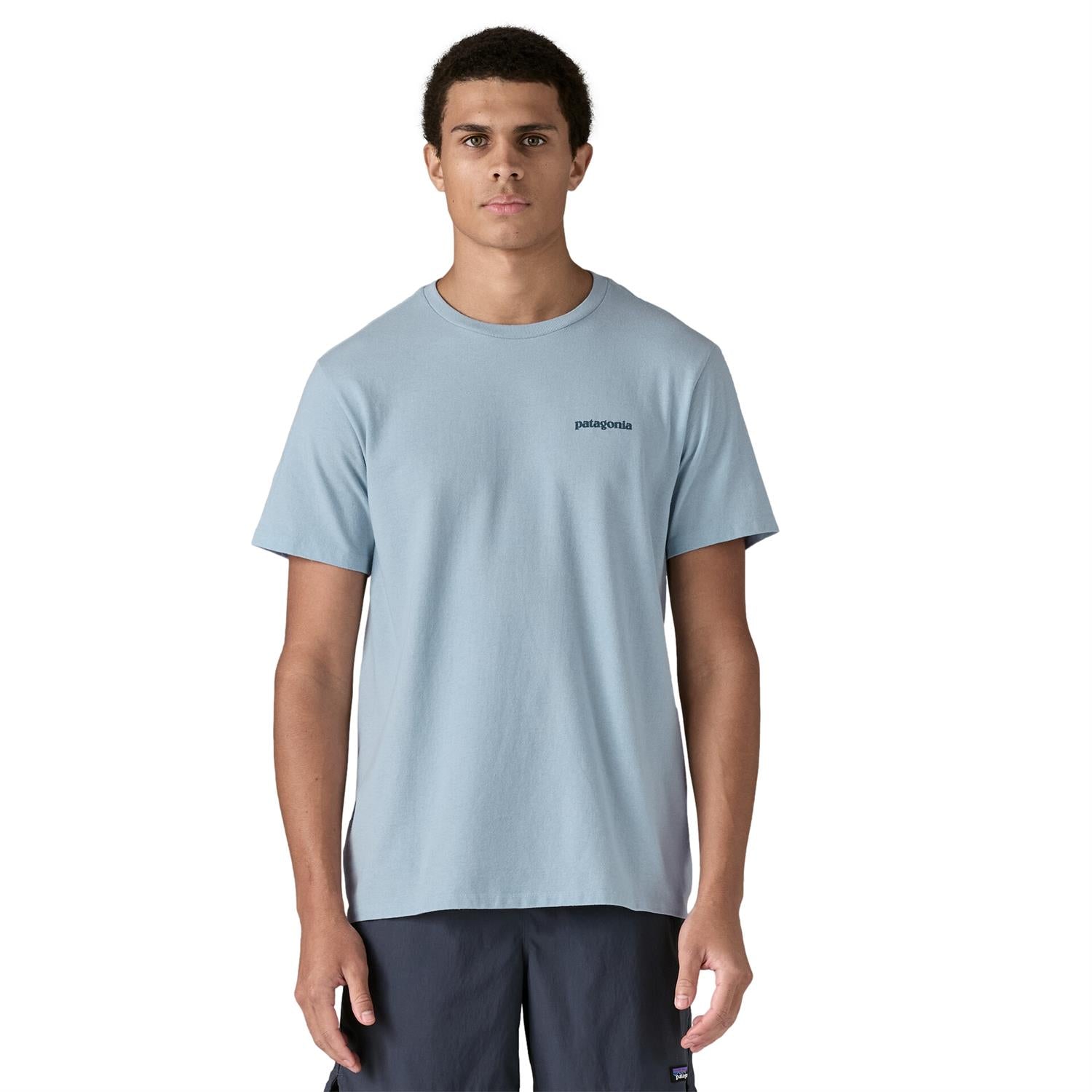 Patagonia Fitz Roy Icon Responsibili-Tee T-shirt Lyseblå - modostore.no