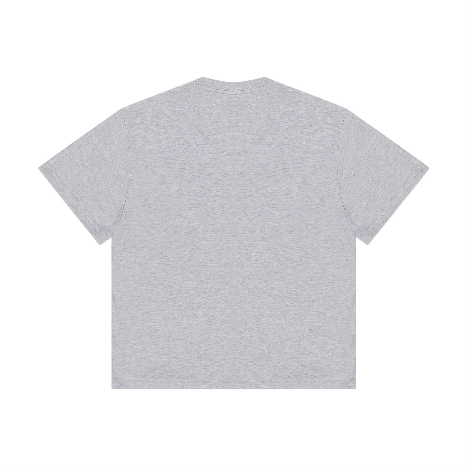 PAL International Pre Game 2025 T-Shirt T-shirt Lysegrå - modostore.no