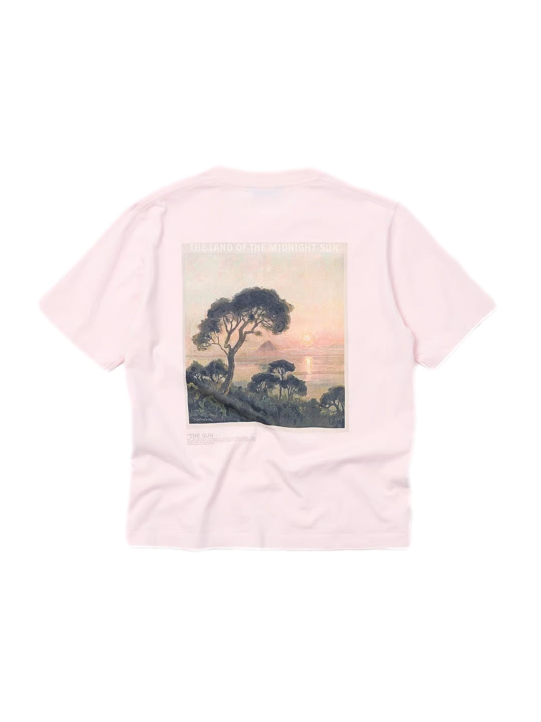 Holzweiler Kjerag National Tee T-shirt Lyserosa
