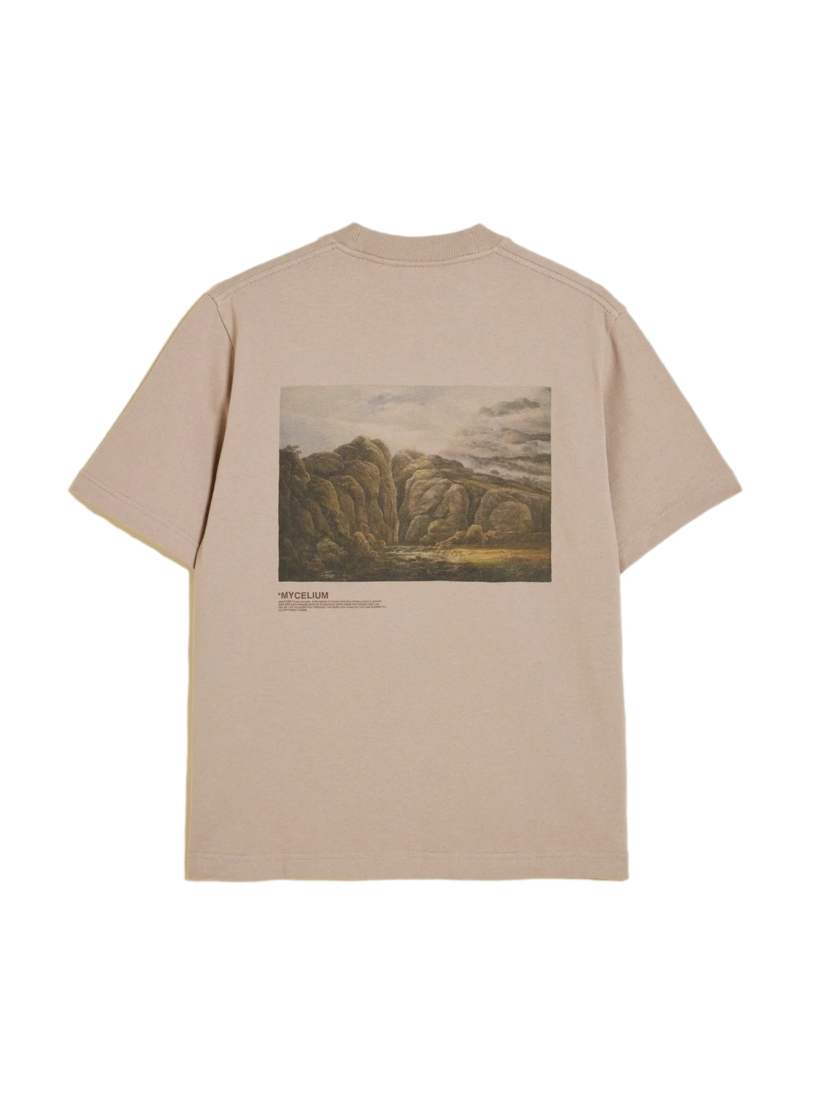 Holzweiler Kjerag National Tee T-shirt Beige - modostore.no