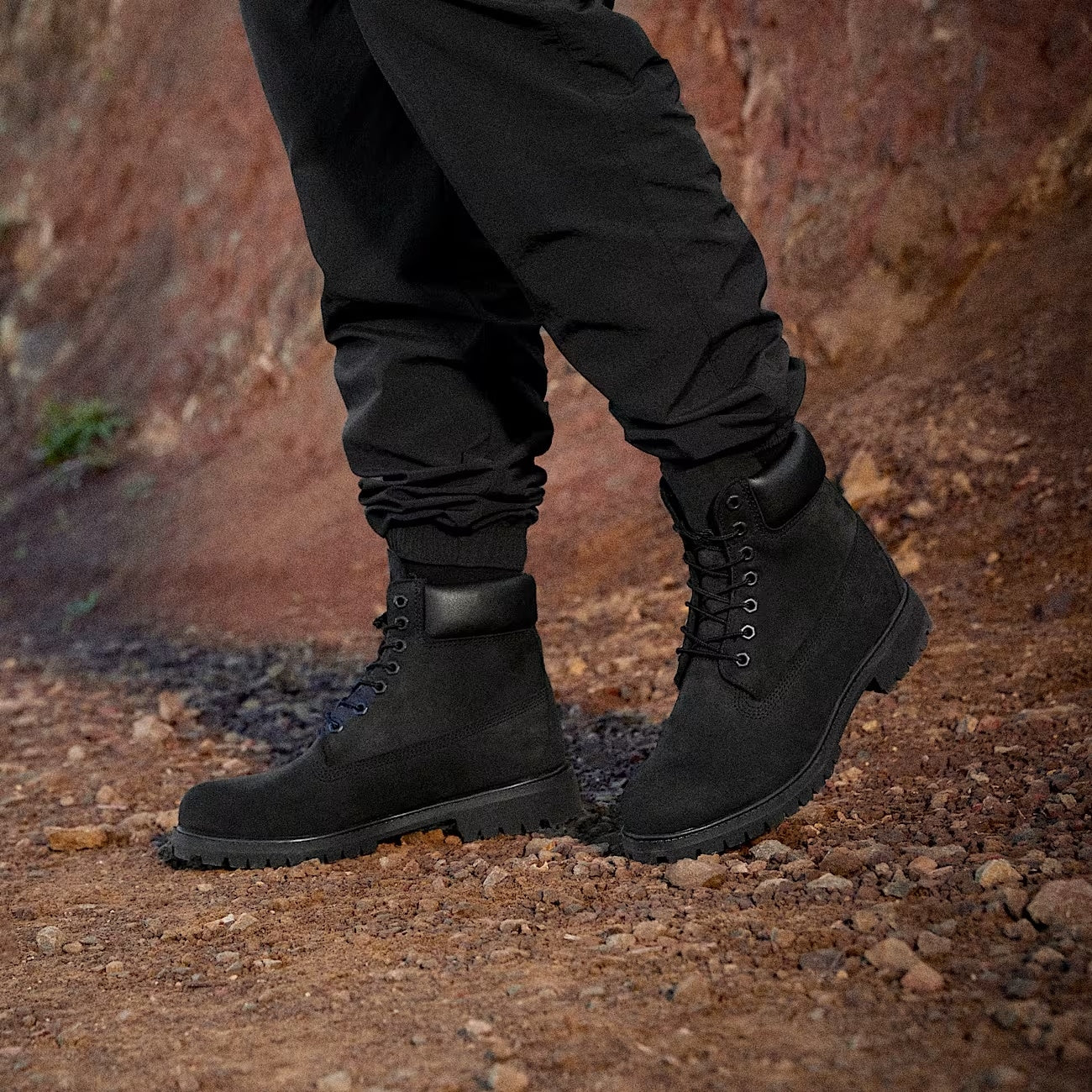 Timberland Timberland Premium 6 INCH Sko Sort - modostore.no
