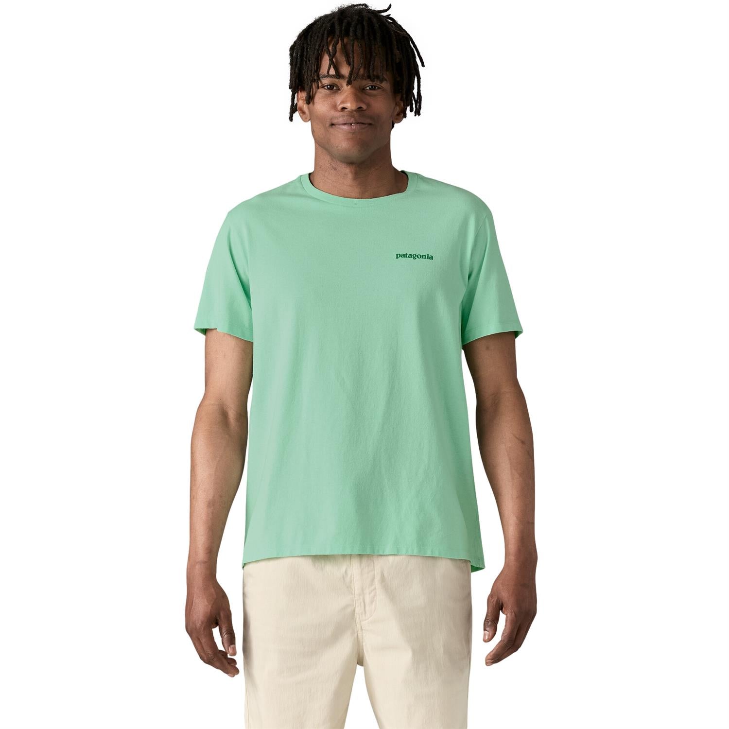 Patagonia Fitz Roy Icon Responsibili-Tee T-shirt Lysegrønn