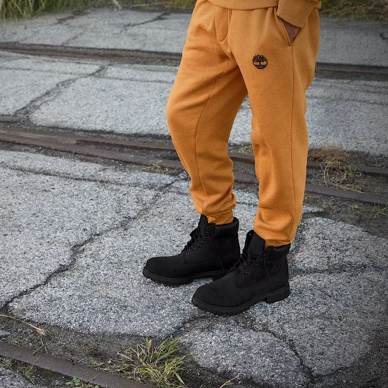 Timberland Timberland Premium 6 INCH Sko Sort - modostore.no